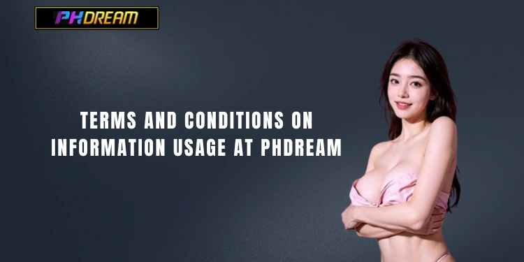 Terms and Conditions on Information Usage at PHDream